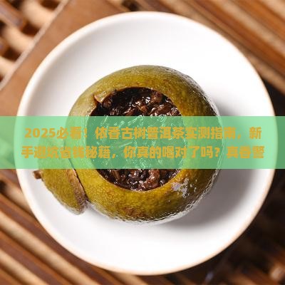 依香古树普洱茶