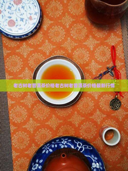 老古树老普洱茶价格