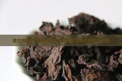 老古树老普洱茶价格