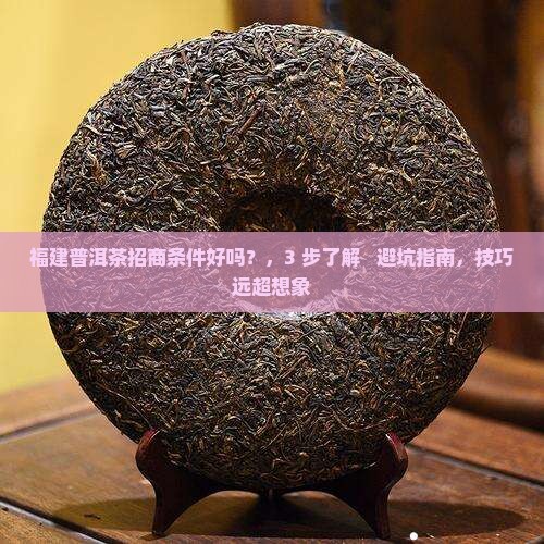 福建普洱茶招商条件好吗