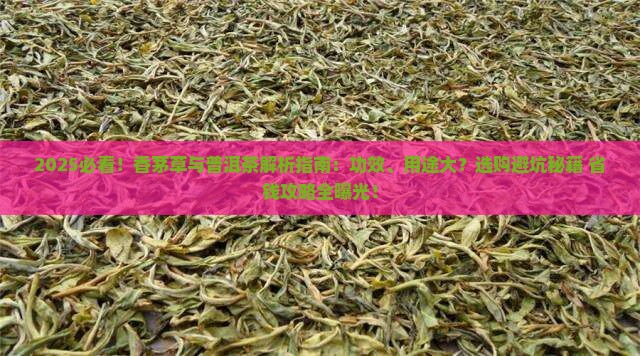 香茅草和普洱茶的区别在哪
