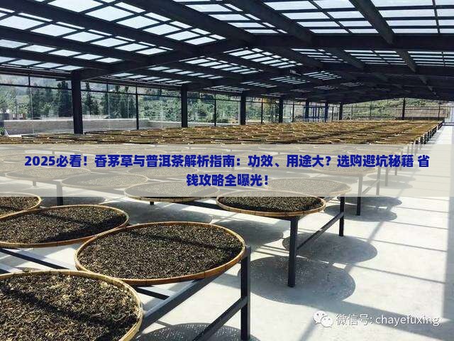 香茅草和普洱茶的区别在哪