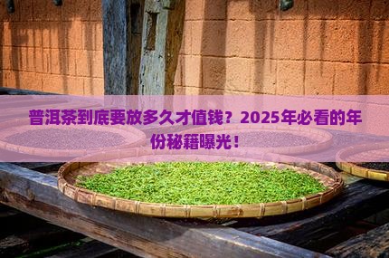 普洱茶是年份多久才算好