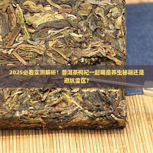 普洱茶枸杞可以一起喝吗