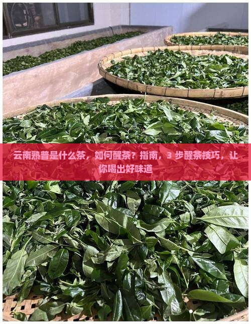 云南熟普是什么茶如何醒茶