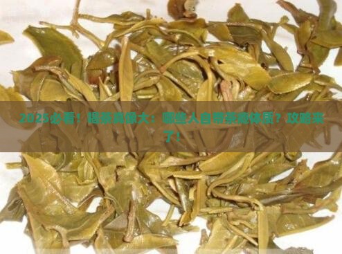 什么样的人适合喝茶