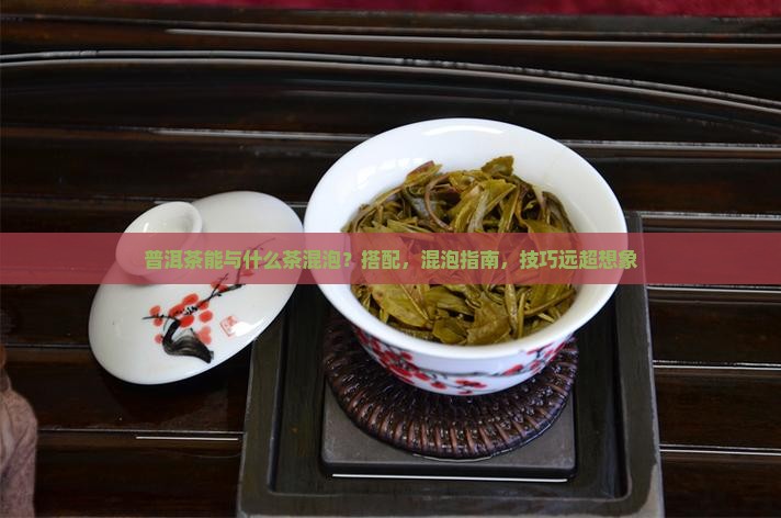 普洱茶能与什么茶混泡