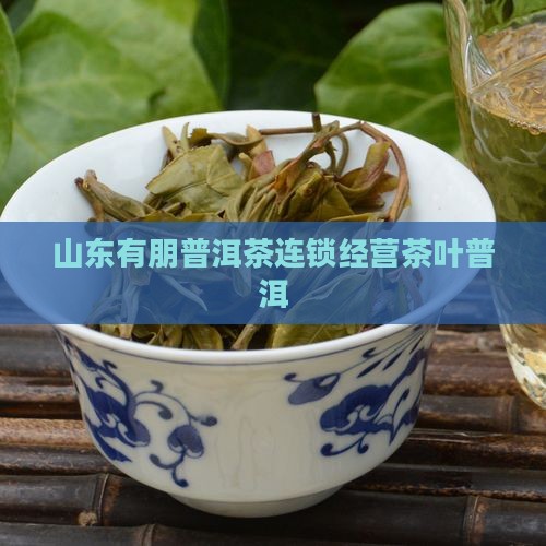 山东熟普洱茶连锁品牌
