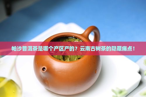 帕沙普洱茶是哪个产区产的