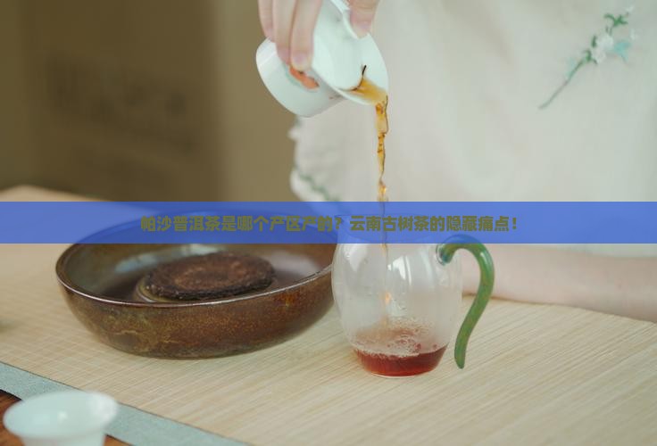 帕沙普洱茶是哪个产区产的