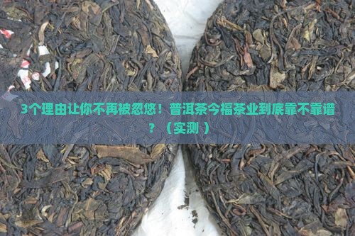 普洱茶今福茶业