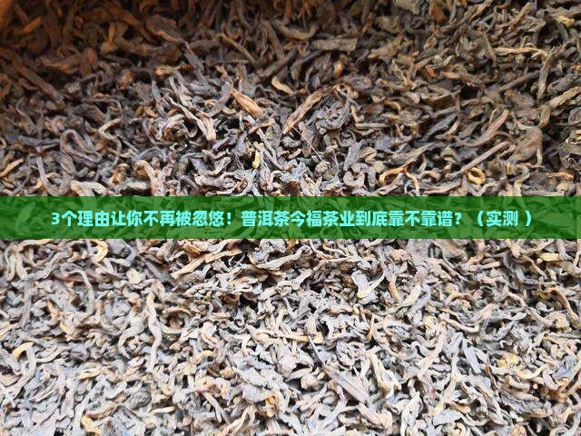 普洱茶今福茶业
