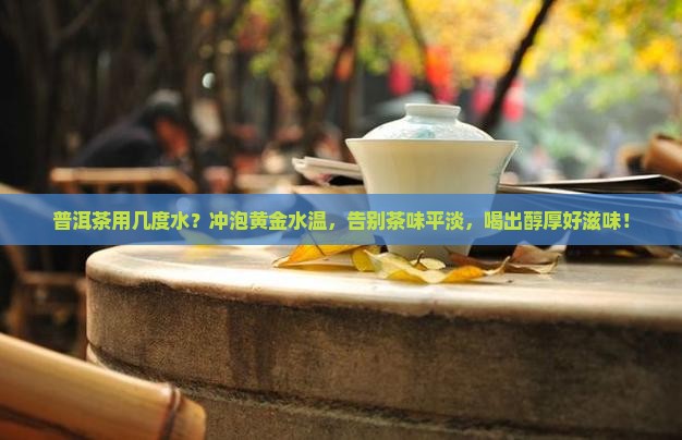 普洱茶用几度水