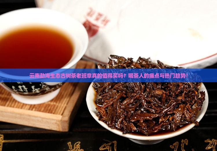 云南勐海生态古树茶老班章