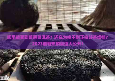 哪里能买到普通普洱茶