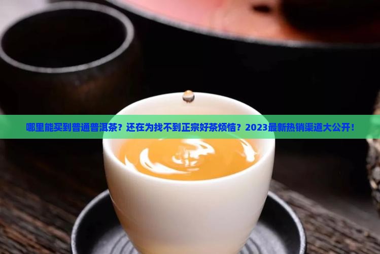 哪里能买到普通普洱茶