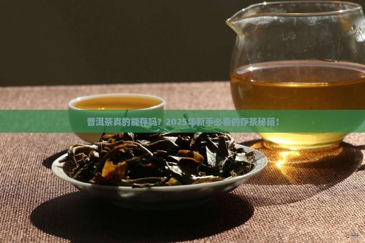 普洱茶真的存世吗