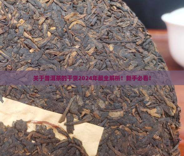 关于普洱茶的干货