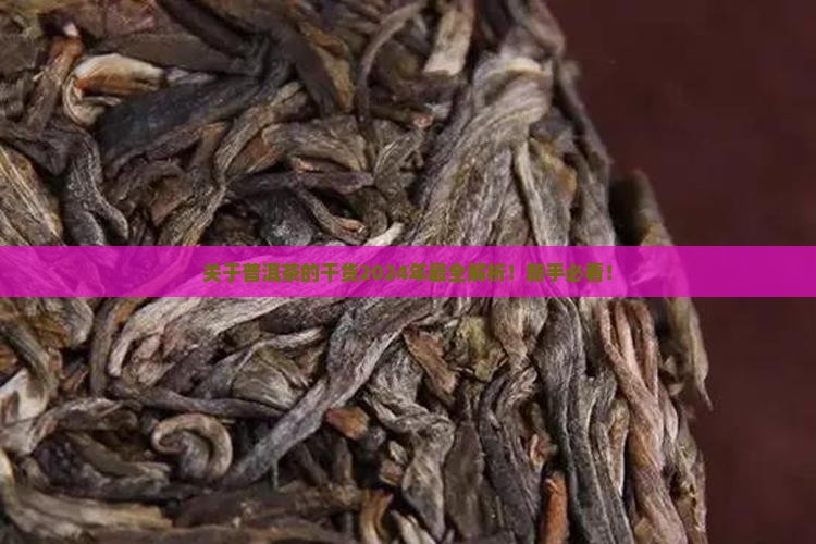 关于普洱茶的干货