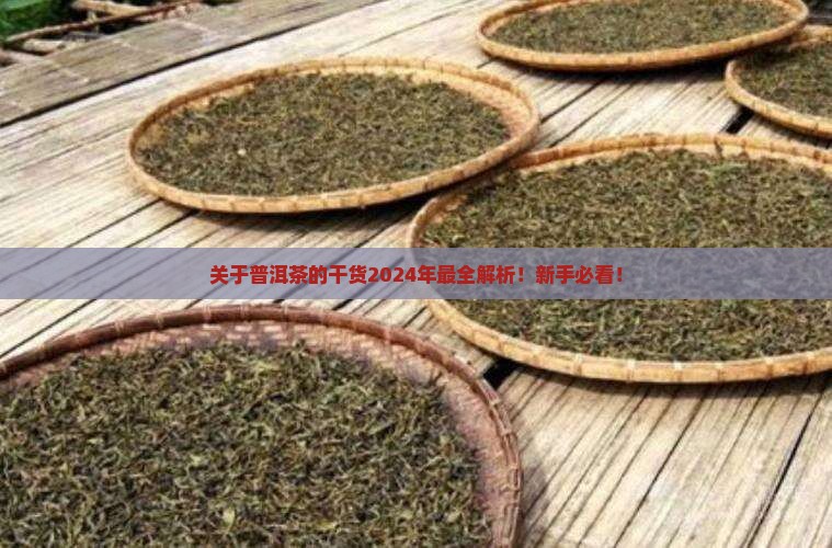 关于普洱茶的干货