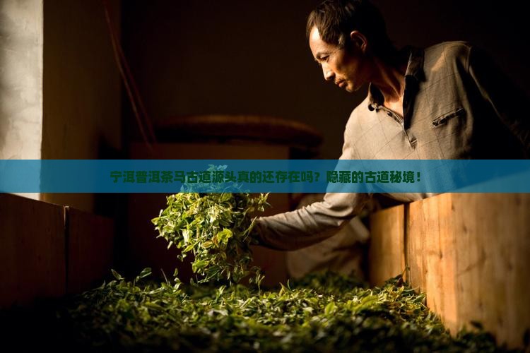 宁洱普洱茶马古道源头