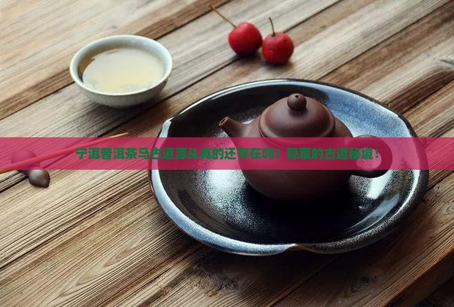 宁洱普洱茶马古道源头