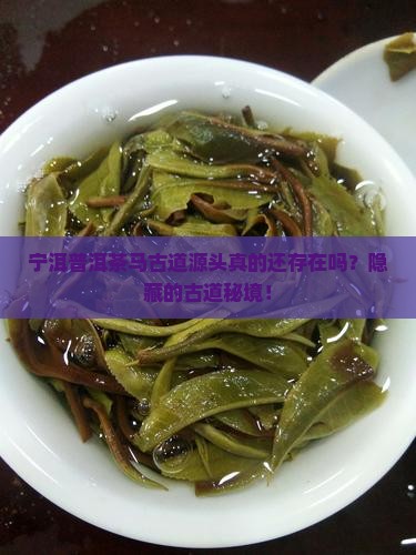 宁洱普洱茶马古道源头