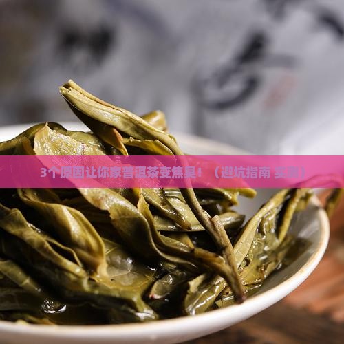 家里存放的普洱茶有焦臭味