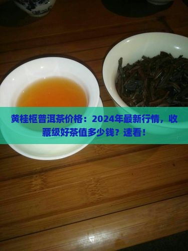 黄桂枢普洱茶价格
