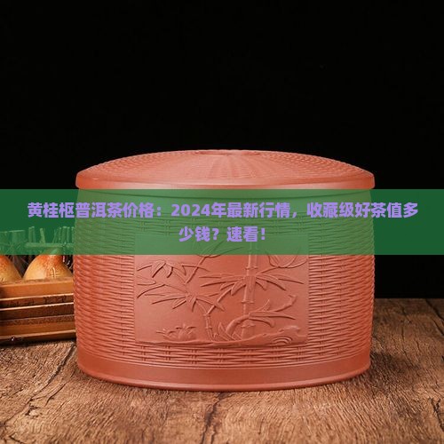 黄桂枢普洱茶价格
