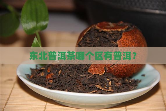 普洱茶在东北哪个区有分布