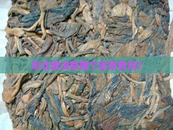 普洱茶在东北哪个区有分布
