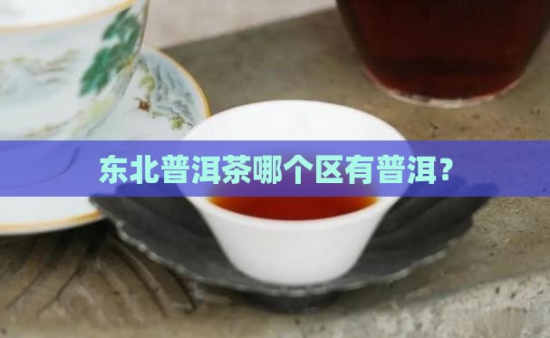 普洱茶在东北哪个区有分布