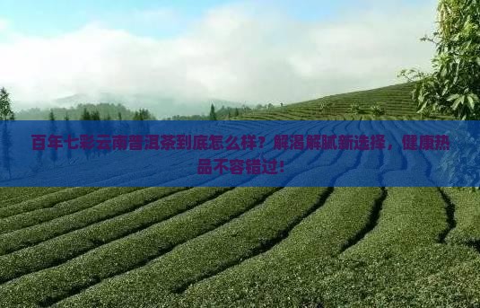 百年七彩云南普洱茶怎么样