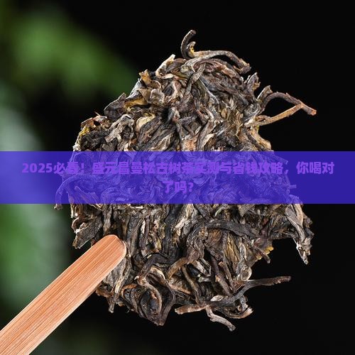 盛元昌曼松古树茶