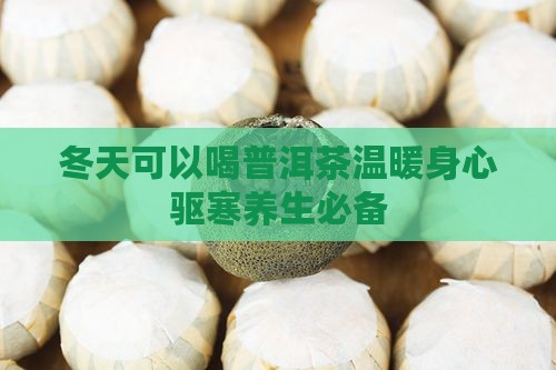 冬天可以喝普洱茶