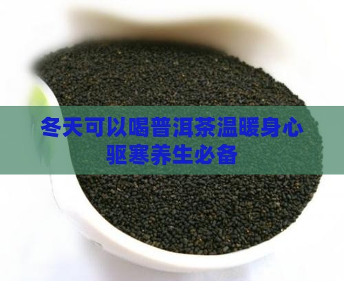 冬天可以喝普洱茶