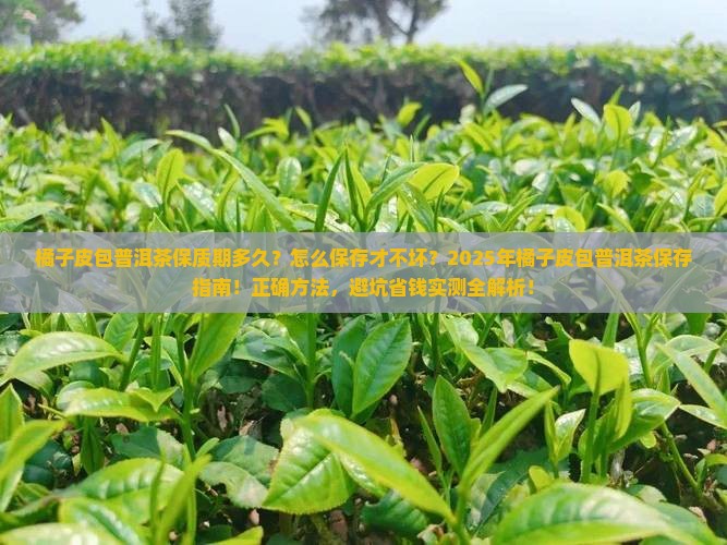橘子皮包普洱茶保质期