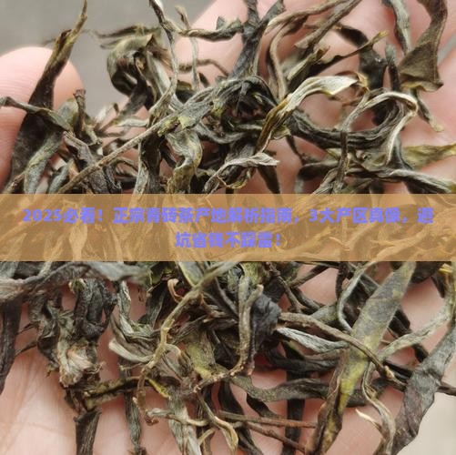 正宗青砖茶产地