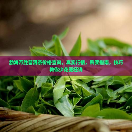 勐海万胜普洱茶价格查询