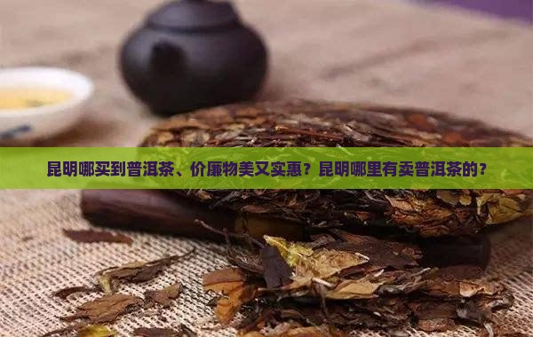 昆明哪买到普洱茶