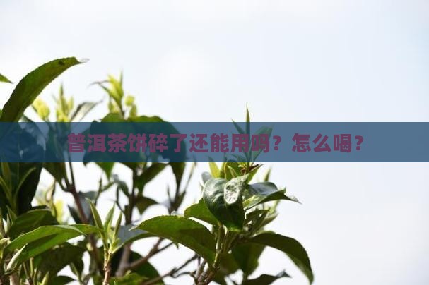 普洱茶饼碎了还能用吗