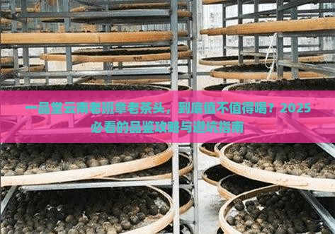 一品堂云南老班章老茶头