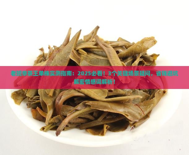 老班章茶王单株