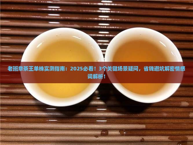 老班章茶王单株