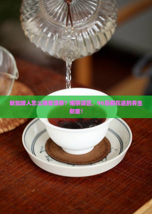 新加坡人怎么喝普洱茶