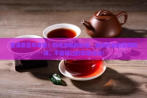 普洱茶百年老茶