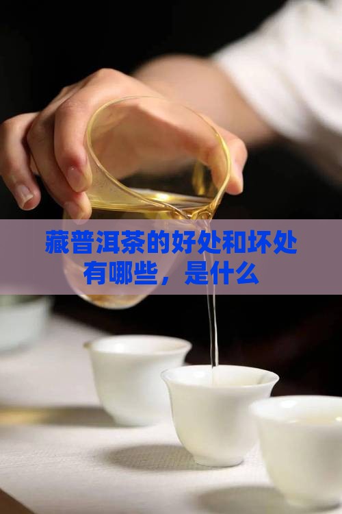 藏普洱茶的好处和坏处