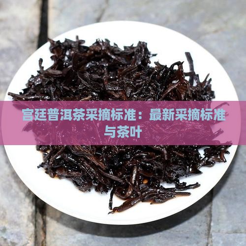 宫廷普洱茶采摘标准