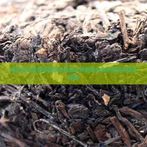 临沂福元昌普洱茶